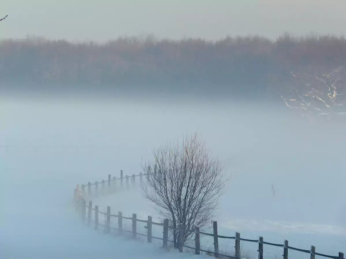 Foto aus dem Buch Weihnachten an Ennepe, Ruhr und Volme von Christina Lukas (Foto: Marek Schirmer)